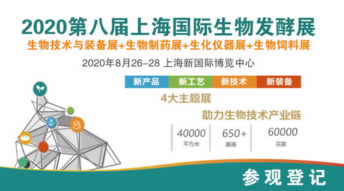 10套化工流程圖、布置圖及設(shè)備圖在互聯(lián)網(wǎng)接入及相關(guān)服務(wù)領(lǐng)域的應(yīng)用與價(jià)值